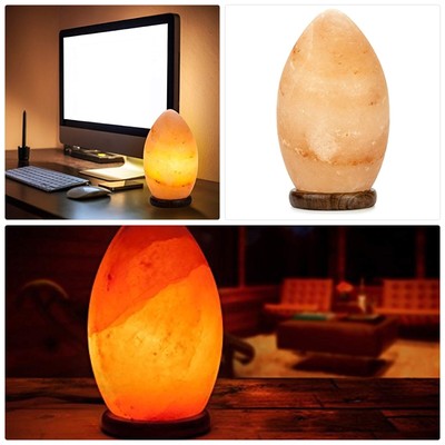Hemingweigh Natural Himalayan Hand Crafted Crystal Salt Rock Oval