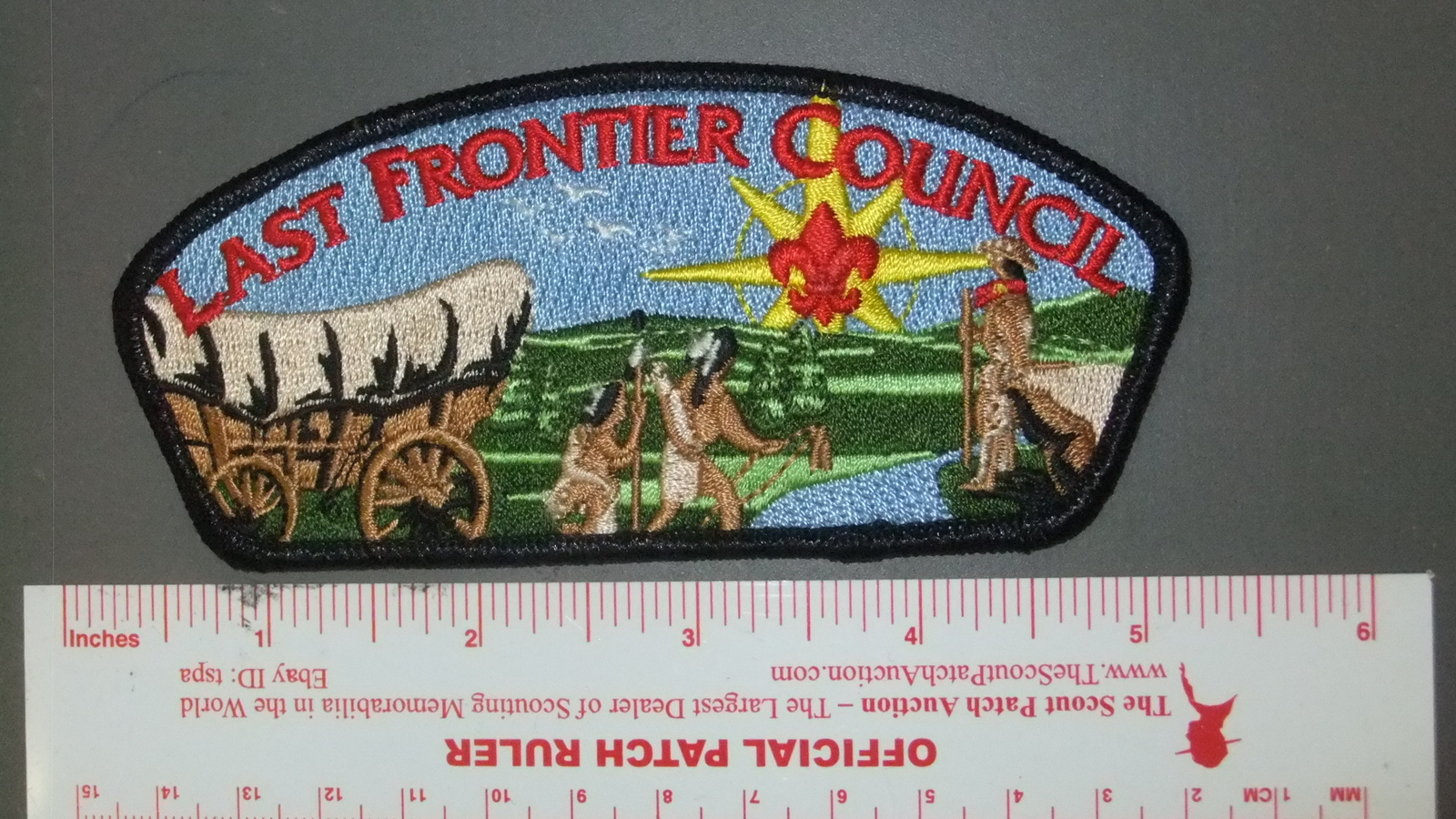Picture 1 of 1