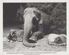 Smokey & the Bandit 2 RARE 1980 Elephant Scene Outdoors 10x8 Still Movie Photo
