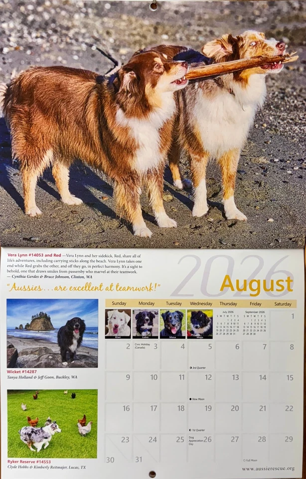 Calendario de rescate australiano 2026 Foto 3 de 4