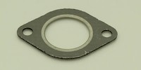 Centauro Auslassdichtung FüR Polaris Xplorer 500 1996-07