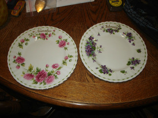Set of 2 Royal Albert Flower of the Month Plates February & November 8.25"