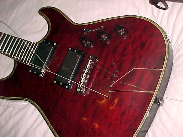 Schecter diamond series case deals