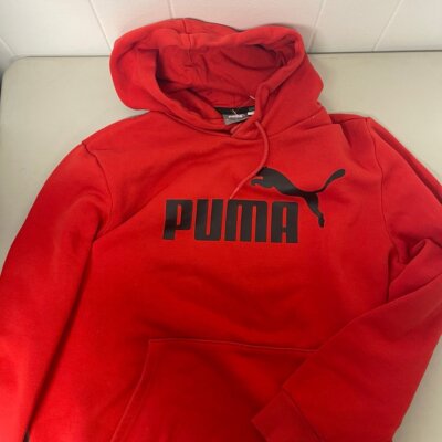 Puma Men's Essentials Big Logo Hoodie