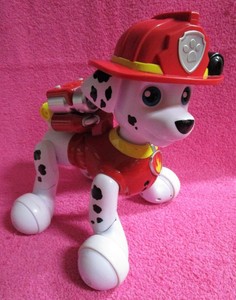 zoomer dalmatian dog