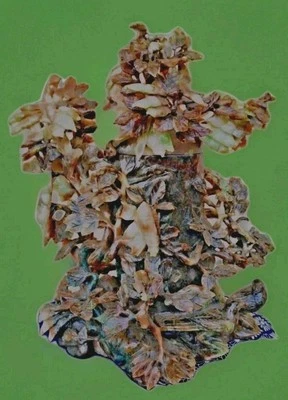 chine Jade Période Qing Grande sculpture En Jade Finement Exécuté Très Lourd - Photo 1/4