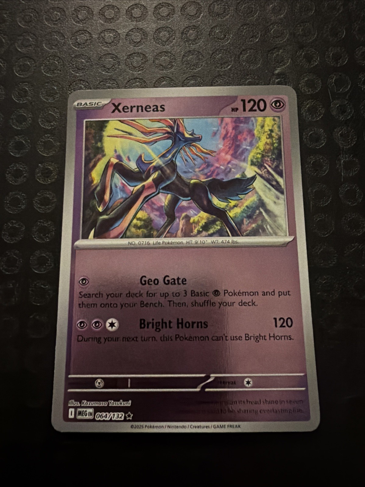 Xerneas 064/132 Mega Evolution Reverse Holo NM Pokemon Card  TCG T03