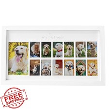 Green Pollywog Dog First Year Frame White