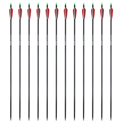 12pcs 28" Carbon Arrows 3" Vane Spine 500 Compound Recurve Bows Hunting Exact - Picture 10 of 14