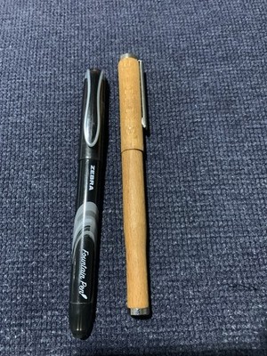 Fountain Pen Pair Preowned Pair