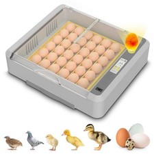 Incubadora de huevos, incubadora de 36-60 hue...