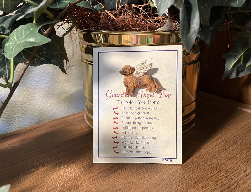 DACHSHUND GUARDIAN ANGEL PIN ~ NEW!