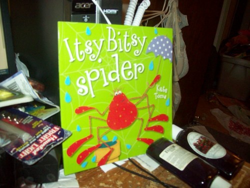 The Wilderness Berkhamsted Itsy Bitsy Spider Children's Book - - Good - See ...