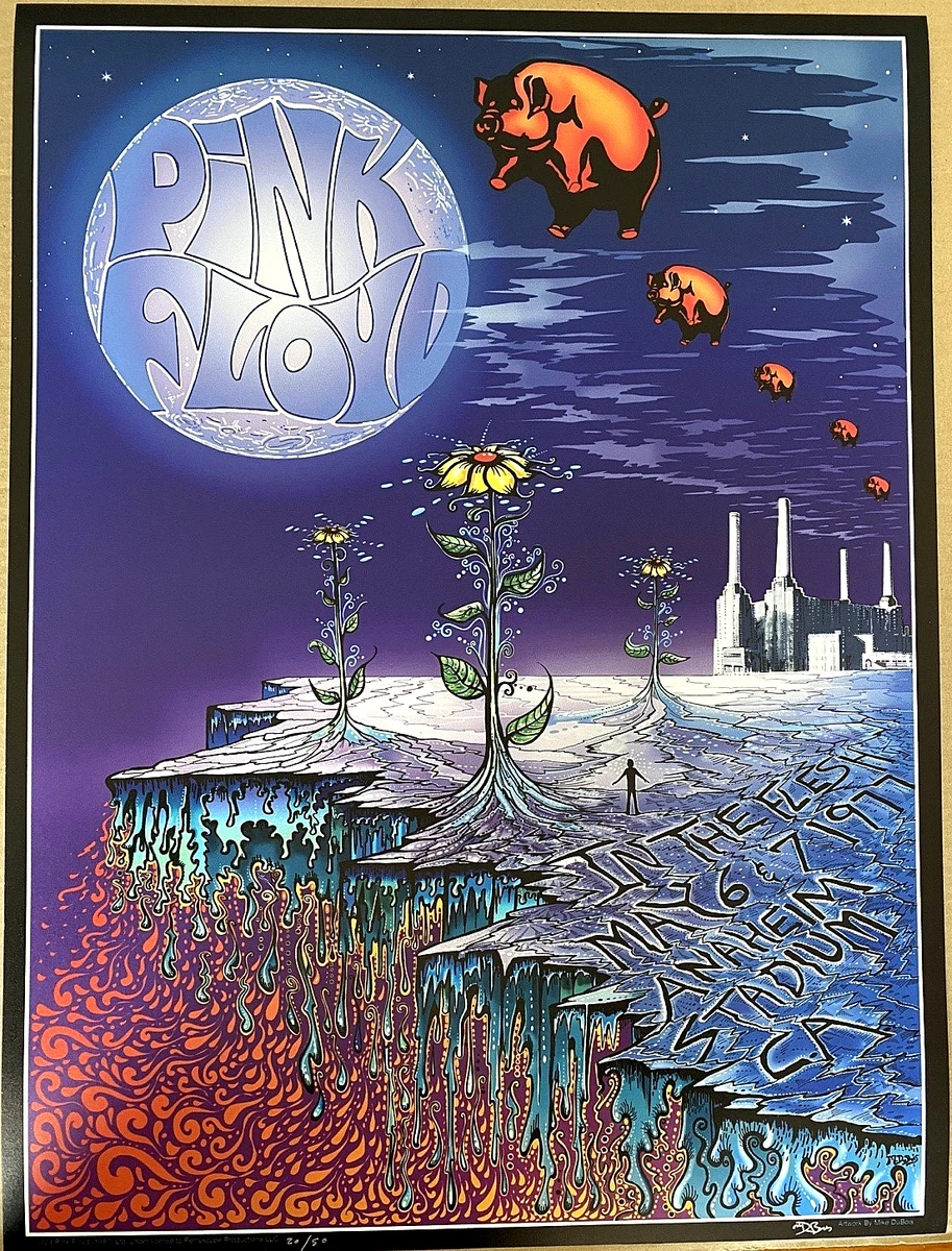 Original Pink Floyd Posters for sale | eBay
