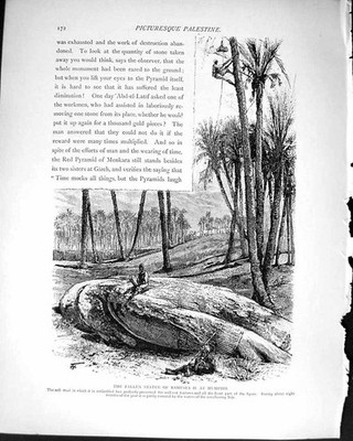 Antiker alter Druck *1203 Palästina 1881 Statue Ramses Memphis Sphinx Ägypten