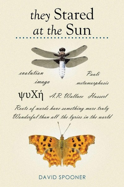 David Spooner | They Stared At The Sun | Taschenbuch | Englisch (2014) | Xlibris-image