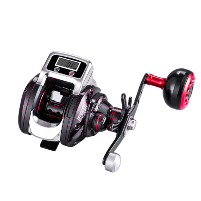 basic fishing pole trove Rent Poles for Fun and Adventure by the Water! – RentFlex360 bkk gt-rex treble hooks Color:Detroit Diesel Lews Mach II Baitcasting 7+1 Ball Bearings