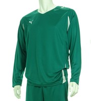 15 X Puma Mens Football Team Shirts 'puma Green' With White Trim (s To 2xl) 15 X Puma Mens Football Team Shirts 'puma Green' With White Trim (s To 2xl)