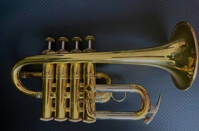 Bach 196 trumpet piccolo Bb and A