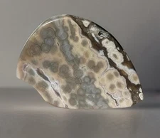 Madagascar 8th Vein Ocean Jasper Freeform Natural Orbicular Jasper Crystal