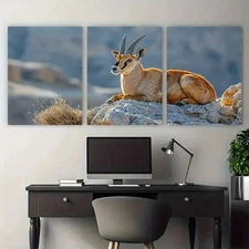 3pcs Nubian Ibex on Makhtesh Ramon Cliffs Wall Art Canvas Unframed/Framed