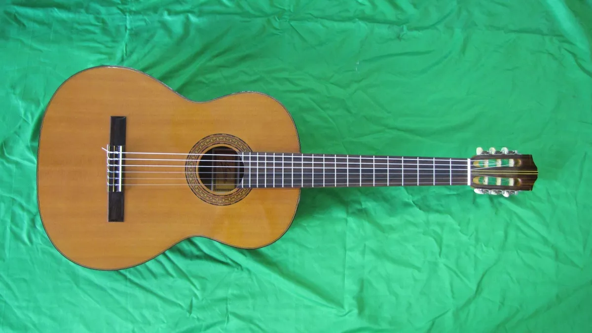 Ariana sale guitar price