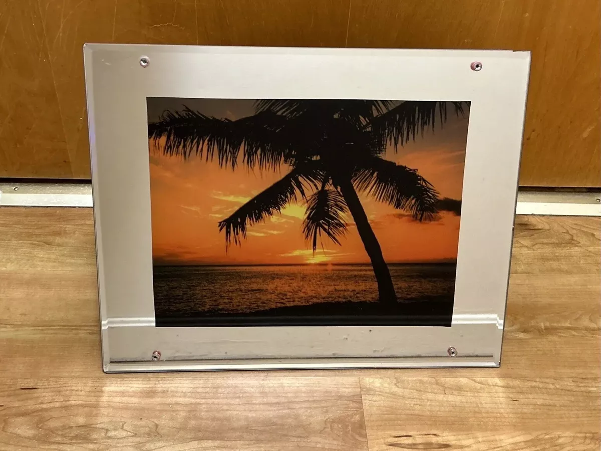 Light up 2024 palm tree glass