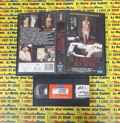 VHS Film DAS LABYRINTH DER SINN 1994 Monica Seller Steven Rogers Lora Mond (F179