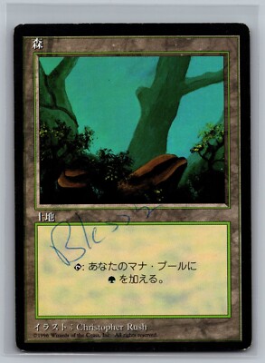 Forest 177 FBB Magic the Gathering JAPANESE Fourth Edition MTG