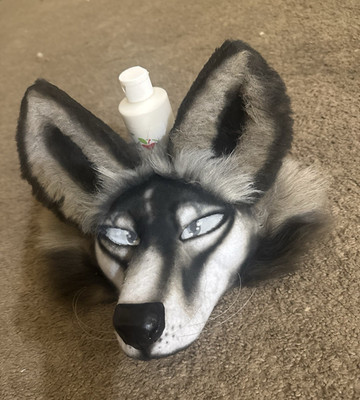 Canine mask black, grey, and white.