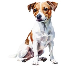 2 adesivi Jack Russell Terrier adesivi auto 9 x 9 cm cane JRT cucciolo set