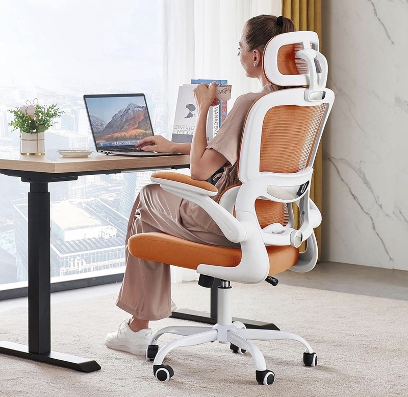 Office Chair Ergonomic Desk Chair, 330 LBS Home Mesh Office Desk TRALT