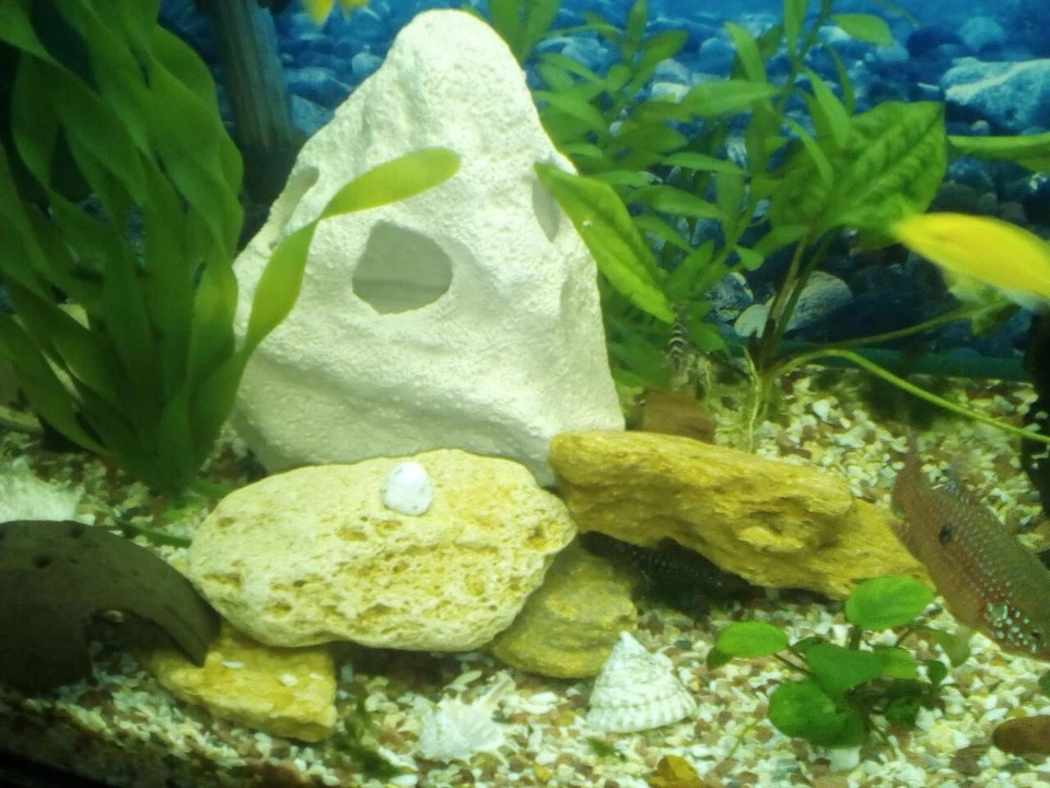 Aquarium decoration. Ceramic cave house Handmade fish tank decor hideout shrimp - Image 4 of 4