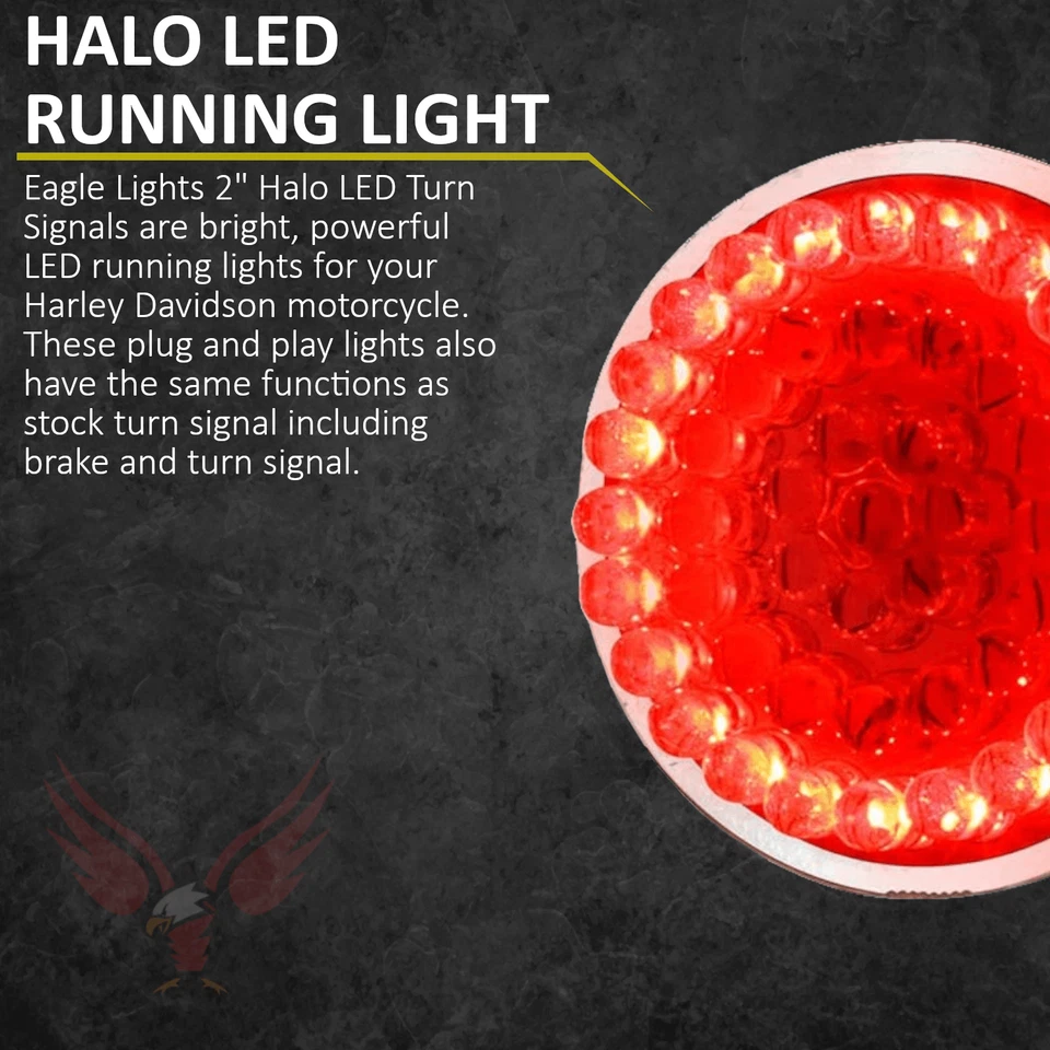 Luces Eagle Harley 2" LED traseras halo señales de giro freno de funcionamiento lentes de humo resistencias Foto 2 de 4