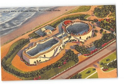 Marineland Florida FL Postcard 1930-1950 Aerial View of Marine Studios