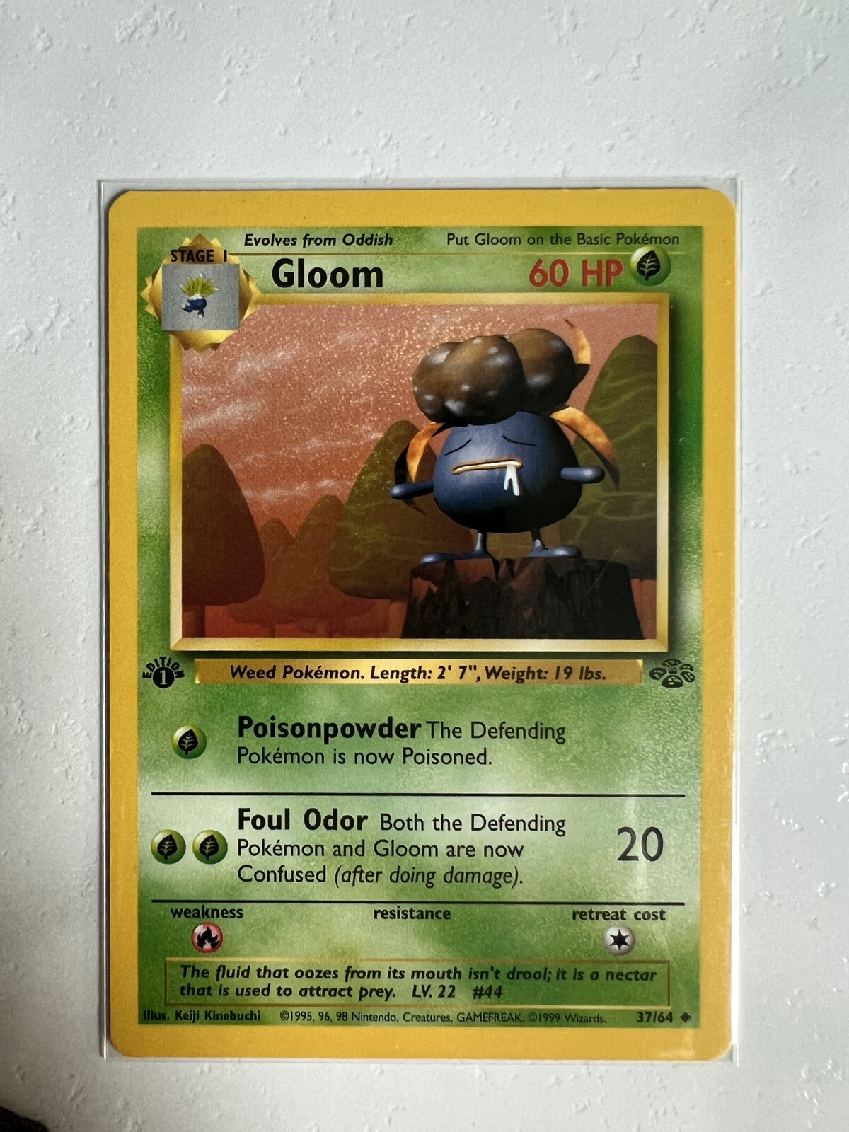 1st Edition Gloom 37/64 - Jungle WOTC - NM