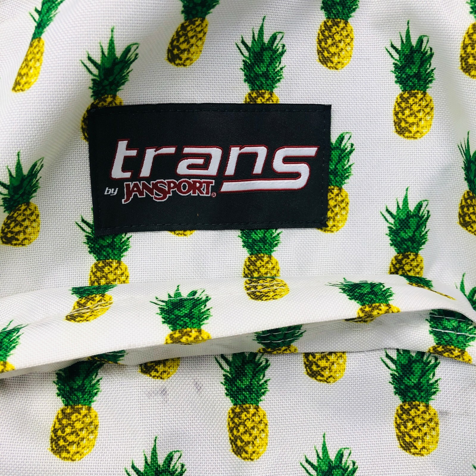 trans pineapple backpack