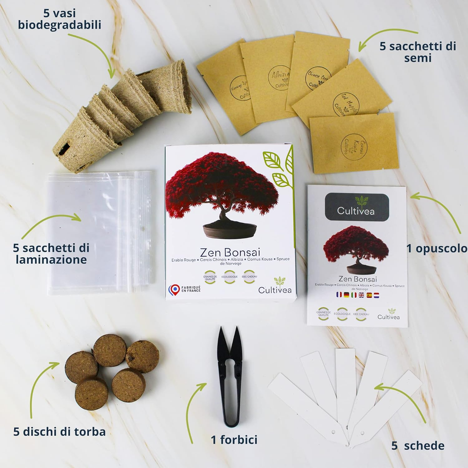 Mini Bonsai ReadyToGrow Kit Semi Francesi 100 Ecologici
