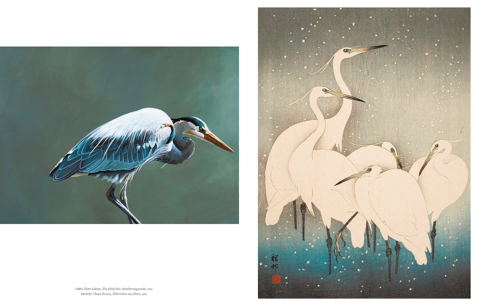 Thumbnail - Vögel In Der Kunst, Angus Hyland