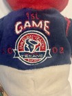 HOUSTON TEXANS vs. DALLAS COWBOYS -2002- NFL - Commemorative Bean Bag Plush Bear — photo 4