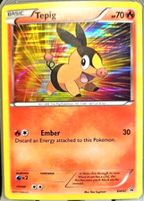 Tepig 2011 Black Star Promo Tinsel Holo Pokemon Card