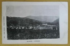 DICOMANO - FIRENZE - PANORAMA - VIAGGIATA - 1909