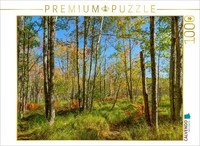 Calvendo Puzzle Forests In Acadia National Park | 1000 Pieces, Finished Size 25.