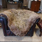 Genuine Real Soft Spanish Goatskin Fur Blanket Throw pelz 50" x 42" Rug - 7312