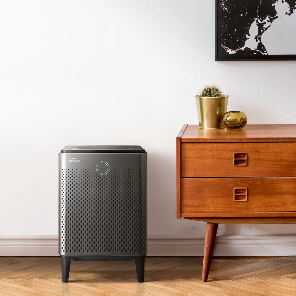 Airmega 400S Graphite HEPA Air Purifier for Large Rooms