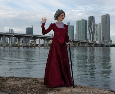 Lady Tremaine Costume (Cinderella's Stepmom) | eBay