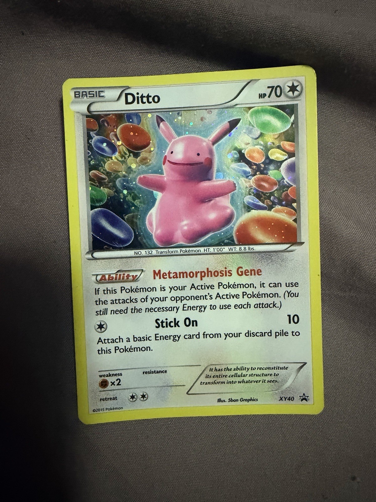 Ditto XY40 Holo Promo XY Promo Pokemon