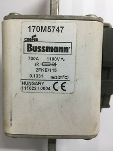 Bussmann 170m5747 Specialty Fuses 700a 1100v 2fke 115 Ar Square Body Blade Fuses Ebay