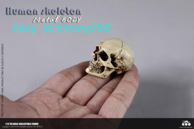 New COOMODEL BS011 1/6 Scale HUMAN SKELETON DIECAST ALLOY Action