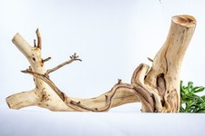 Manzanita Aquarium Driftwood Branch Aquascape, Reptiles, Home D cor 19"